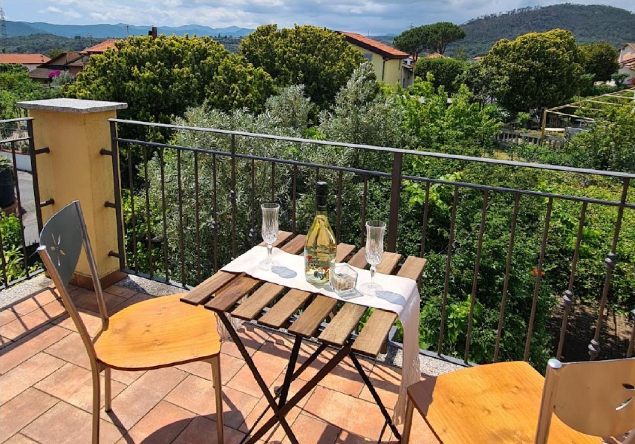 La Terrazza Sui Limoni - Degli Ospiti - Mare, Escursioni A Piedi O Bike, Falesie Per Arrampicate Affittacamere *